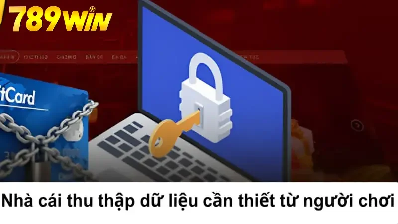 Nhà cái thu thập dữ liệu cần thiết từ người chơi