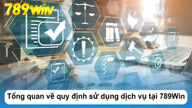 Tổng quan về quy định sử dụng dịch vụ tại 789Win